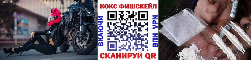дарнет шоп  Судак  Кокаин FishScale 