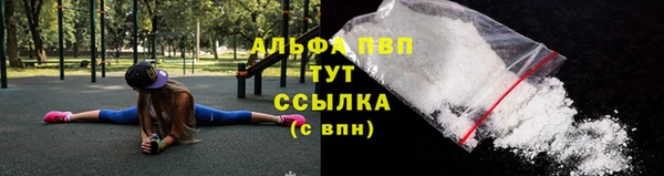 СК Арсеньев