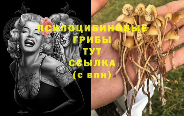 трава Аркадак