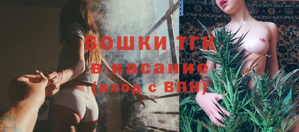трава Аркадак