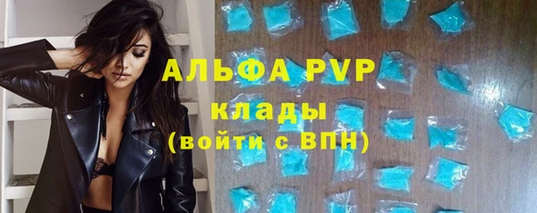 трава Аркадак
