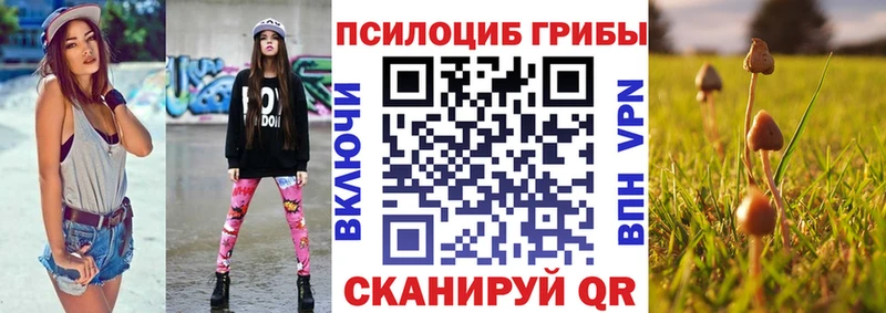 Псилоцибиновые грибы прущие грибы Судак